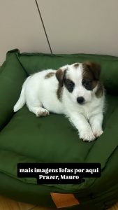 528299064_18523667500011947_227302782997282635_n.