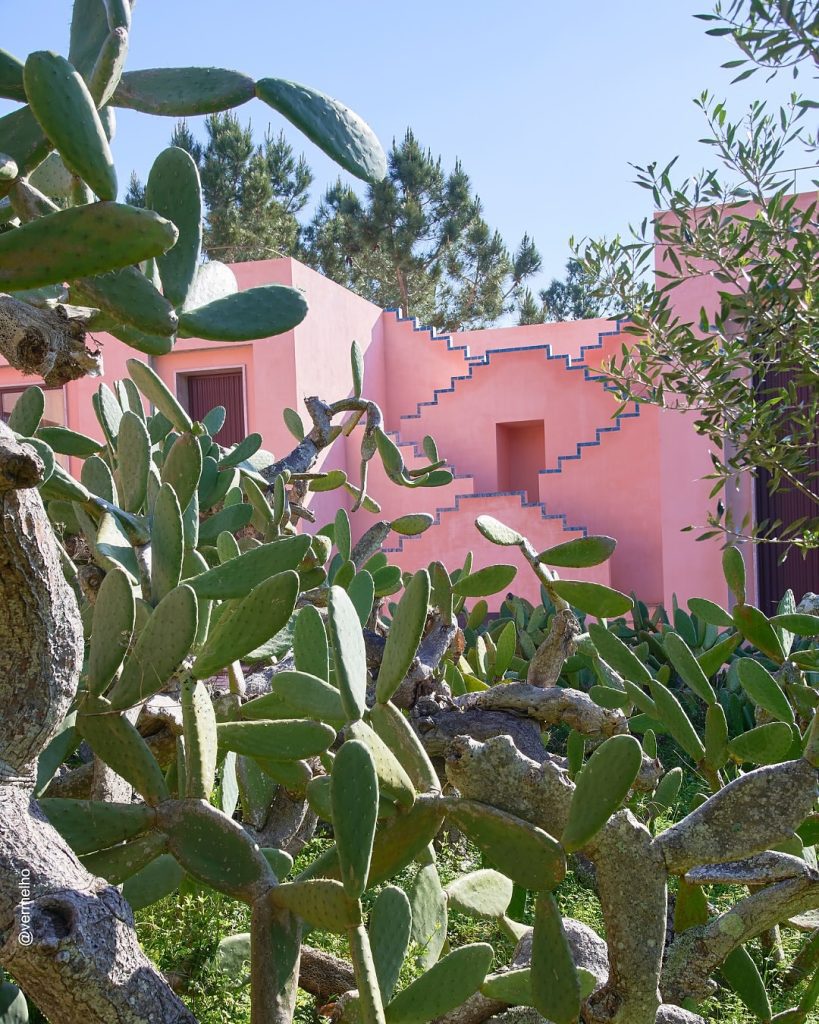 SaveClip.App_528291810_18527820688012543_5963426123522151825_n