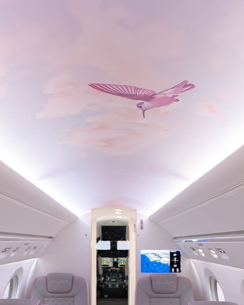 SaveClip.App_528299879_18527971264012543_9046239655517672624_n