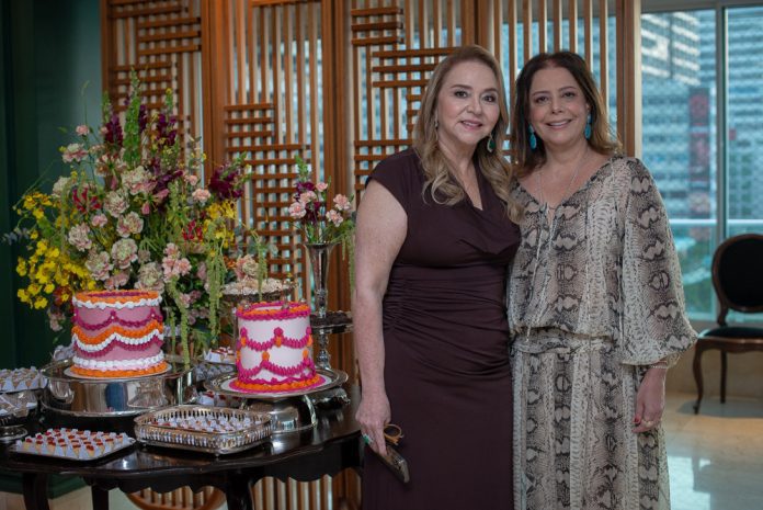 Sandra Fujita E Cláudia Gradvohl (6)
