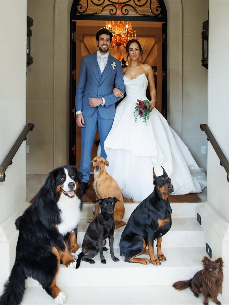 SaveClip.App_552115271_18525068734030825_5310783164668222429_n