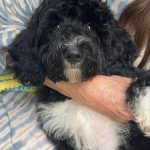 056a5f95 E7d3 4b25 986a 8808af9b6fc5 (1)