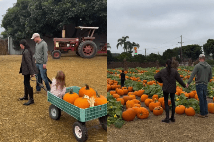 MONTAGENS TAPIS ROUGE MONTAGENS TAPIS ROUGE