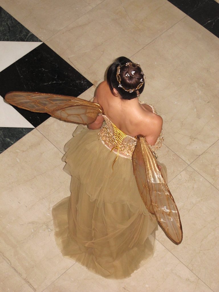 SaveClip.App_566219312_18545427760022671_4221061388243197915_n