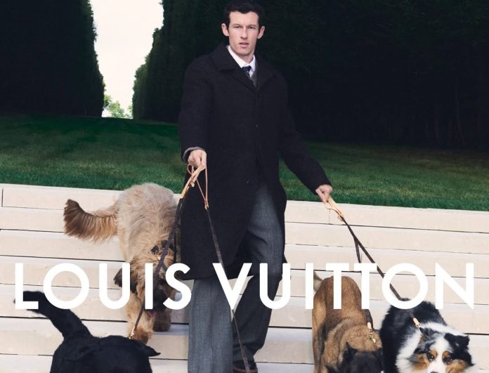 SaveClip.App_572656225_18553842097035121_7329830847903914853_n SaveClip.App_572656225_18553842097035121_7329830847903914853_n