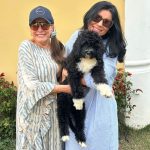 A7f15034 0331 424a 9889 9c4a599ce786