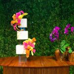 Ana Paula 30 Anos 01