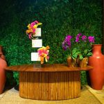 Ana Paula 30 Anos 02