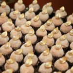 Aniversário De Ricardo Cavalcante E Edgar Gadelha Na FIEC (84)