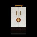 Branson_Presentation_01