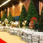 Casa Encantada Do Papai Noel(22)