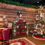 Casa Encantada Do Papai Noel(29)