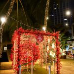 Chegada Do Papai Noel(18)