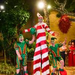 Chegada Do Papai Noel(36)