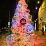 Chegada Do Papai Noel(4)