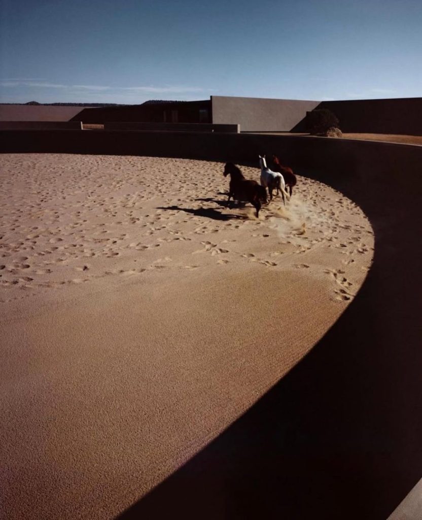 SaveClip.App_150668241_327601128680128_8761189405665409204_n