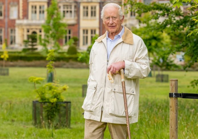 SaveClip.App_581822974_18197537539325127_803050508402028800_n