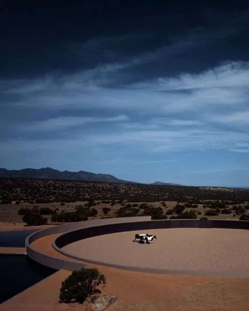 SaveClip.App_584560592_1434527765346950_5258970042773863825_n