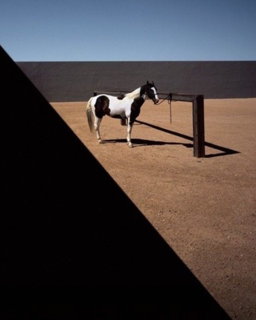 SaveClip.App_584619283_1434527632013630_8980674065091888680_n