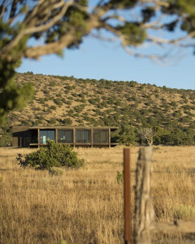 SaveClip.App_584915603_1434527708680289_6427180240576470287_n