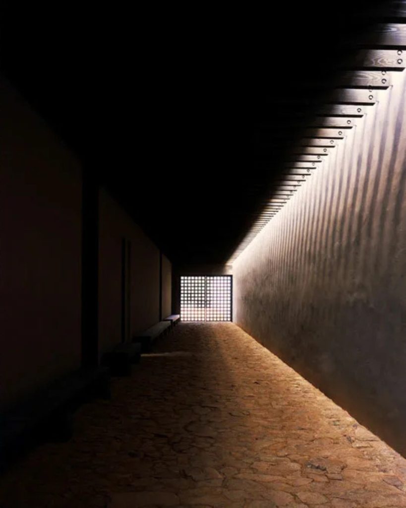 SaveClip.App_584926920_1434527662013627_7386838555097403408_n