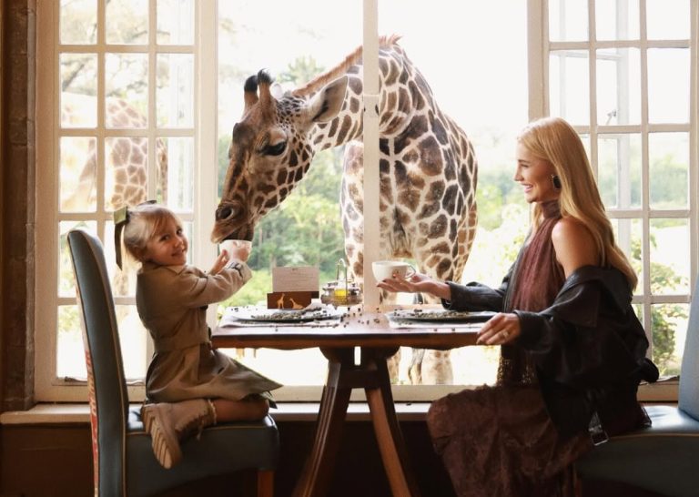 SaveClip.App_588483119_18568480804032754_8975308531596364359_n