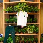 TreeHouse Fundamental(15)