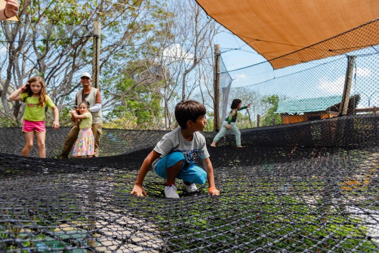 ARVORAR_ARNALDO DANTAS3 1_Easy Resize.com