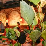 Em Nova Fase, Moleska Apresenta Cardápio Inédito E Referências Asiáticas (13)