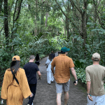 Inhotim_0000_WhatsApp Image 2025 12 03 At 11.10.35