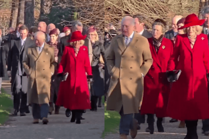 MONTAGENS TAPIS ROUGE (6)