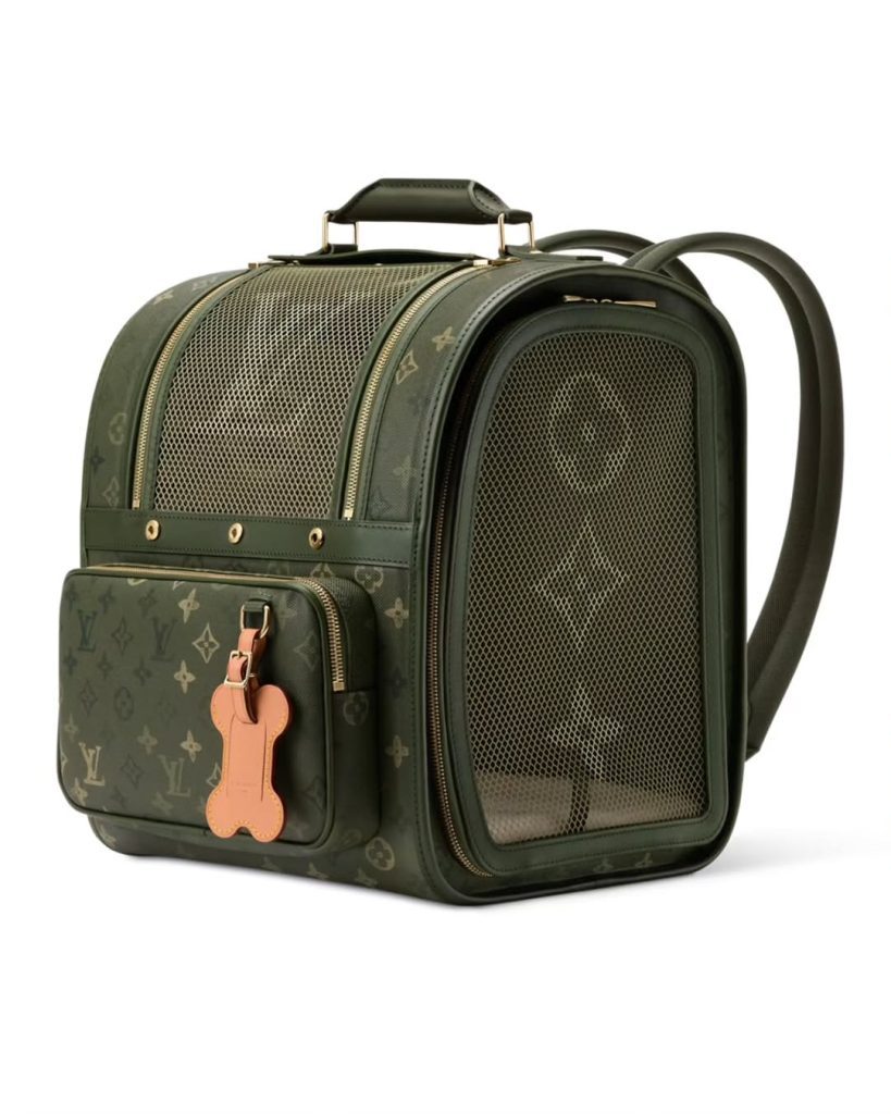 SaveClip.App_573258905_18546268306021583_4001627299343213933_n