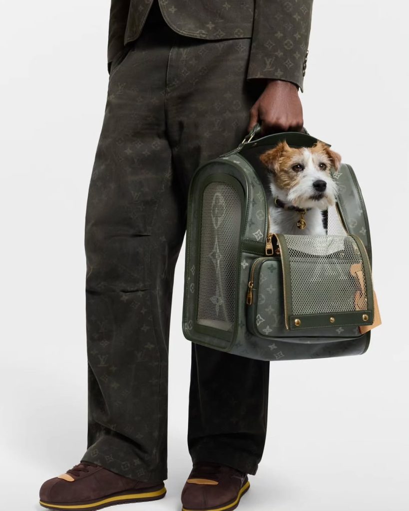 SaveClip.App_573503789_18546268345021583_4693637407123880272_n