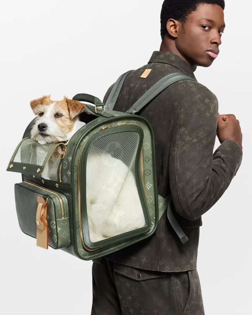 SaveClip.App_575680128_18546268354021583_6580161955108998633_n