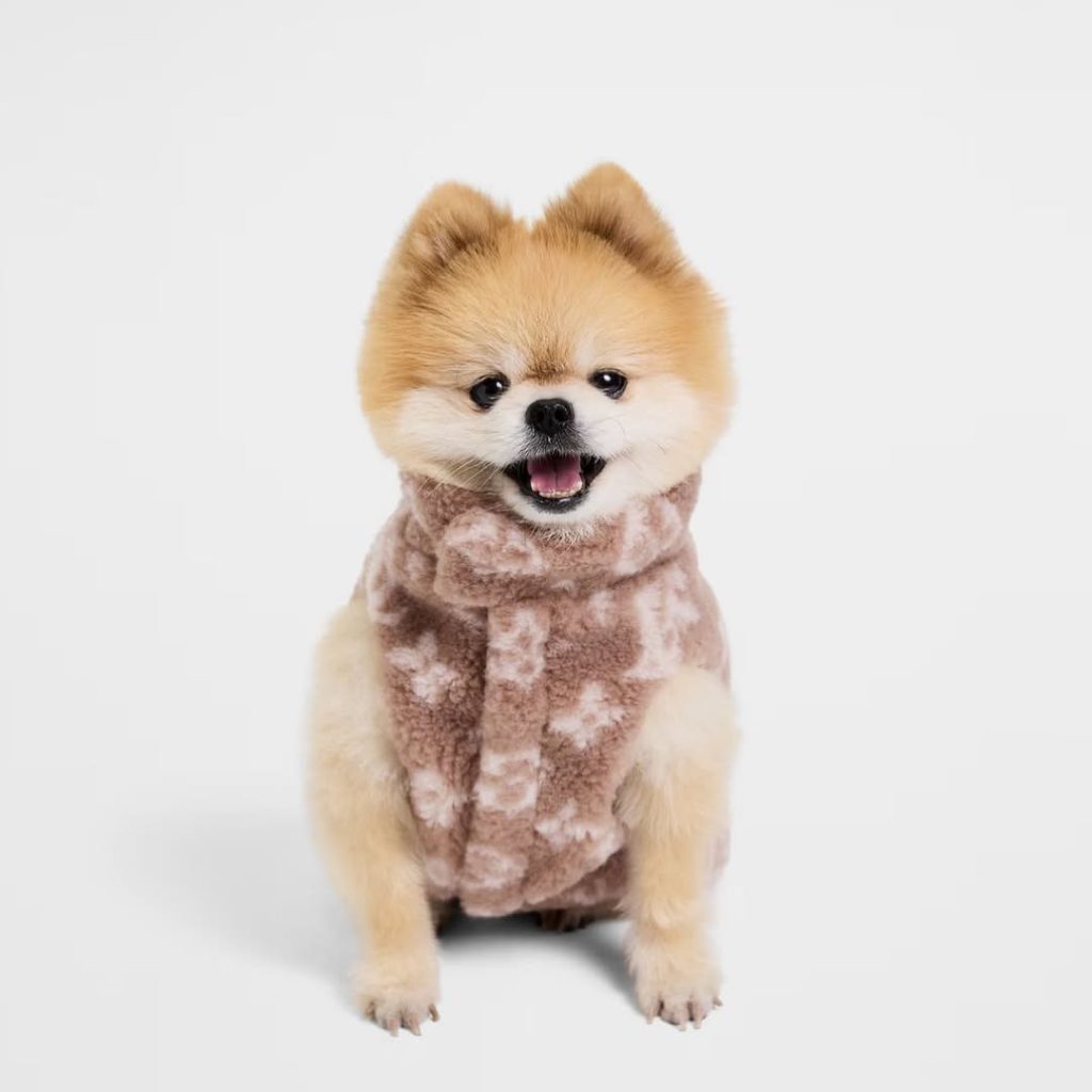 SaveClip.App_579688231_18102245503735434_4244043301137544248_n