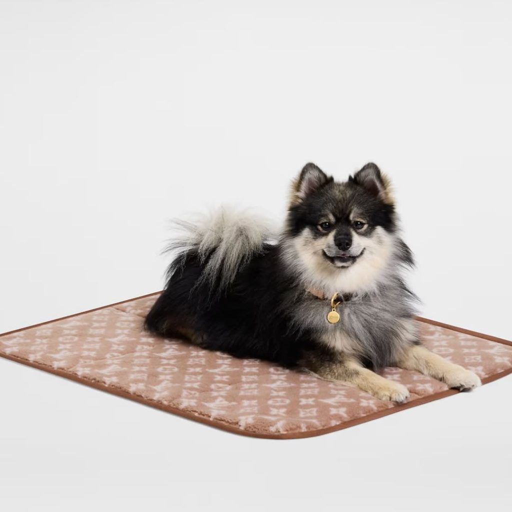 SaveClip.App_579976972_18102245692735434_1796929091051083322_n