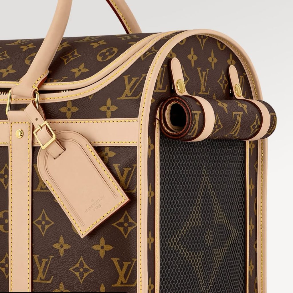 SaveClip.App_580066363_18102245752735434_3956898119398661966_n