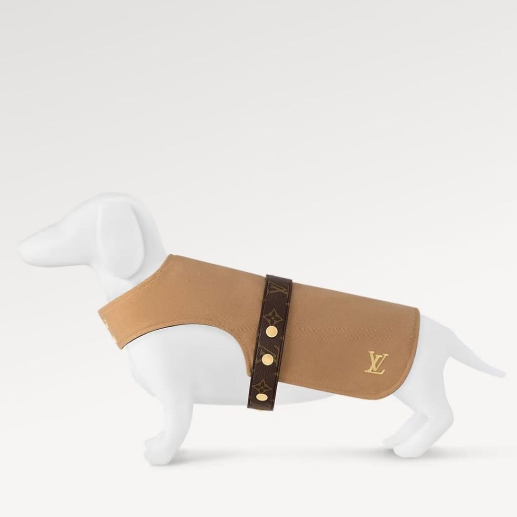 SaveClip.App_580106205_18102245707735434_6405101718545302998_n