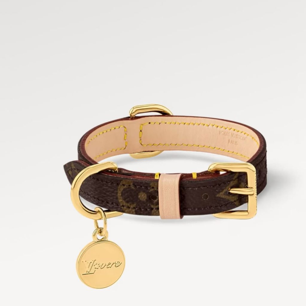 SaveClip.App_581001467_18102245755735434_1985073837866200963_n