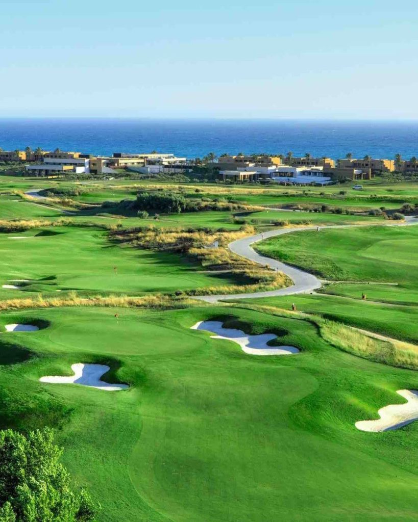 SaveClip.App_593225792_1445636380902755_6937937034164187032_n