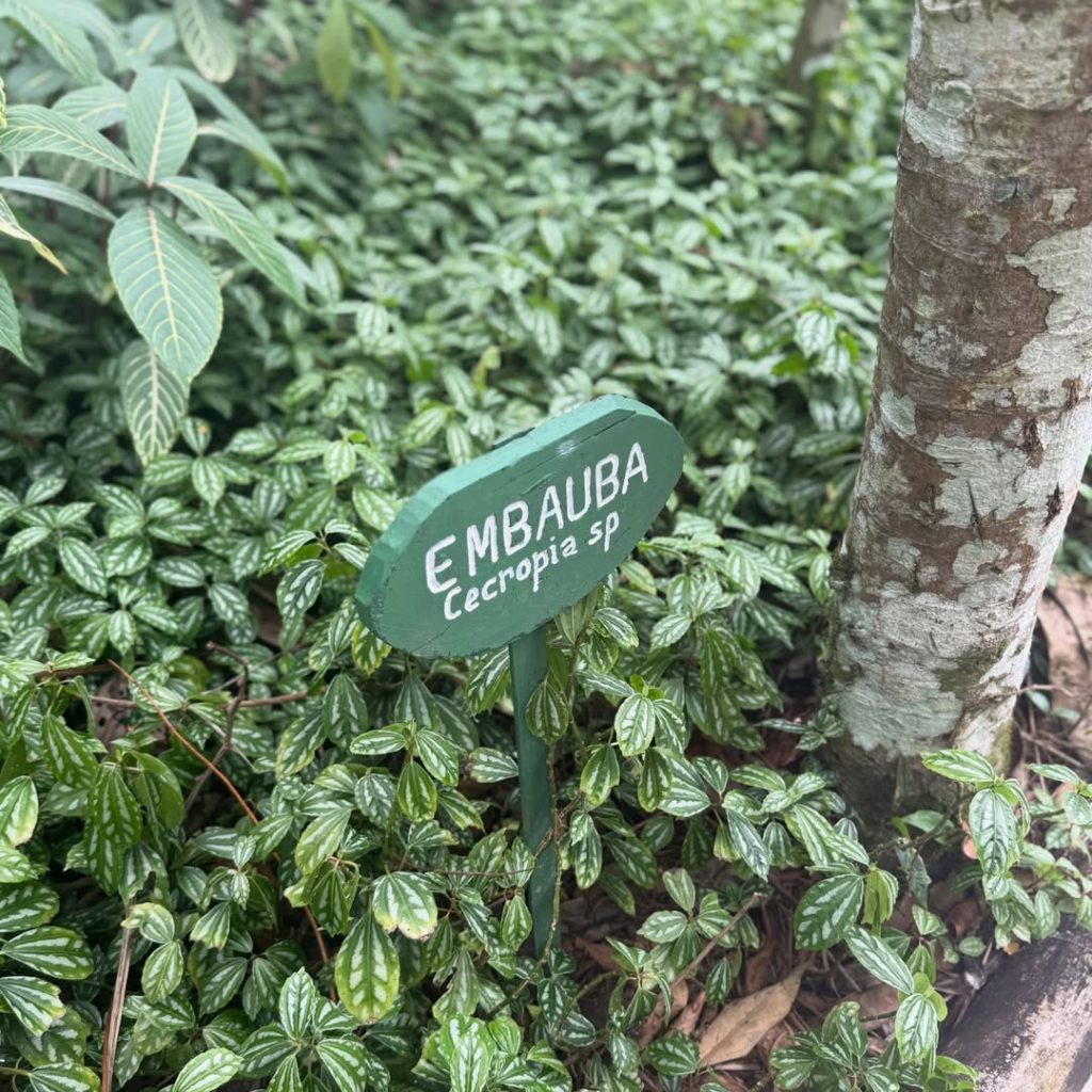 SaveClip.App_607726009_18557645254027018_7330408161285849481_n