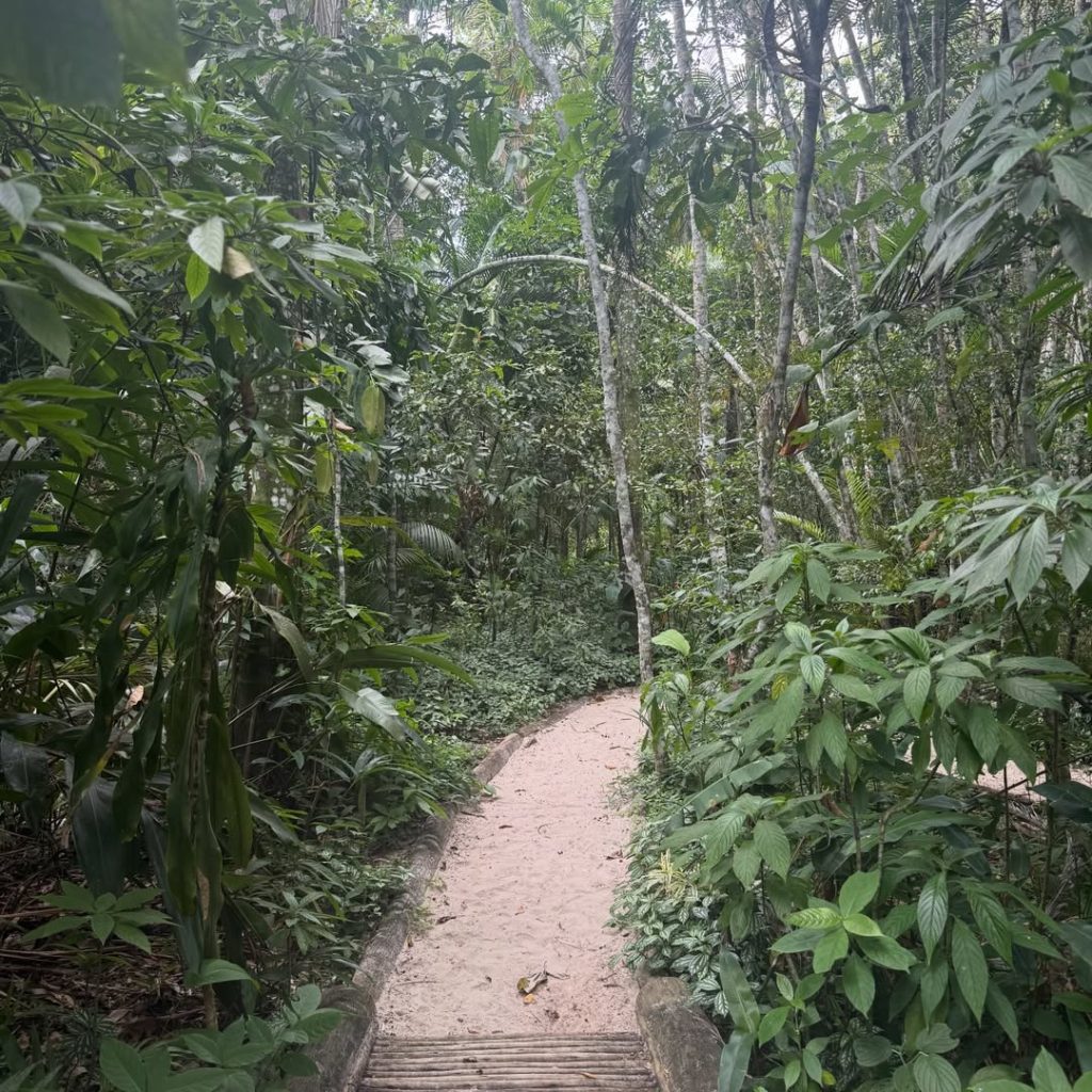 SaveClip.App_608168577_18557645236027018_1418412382917162907_n