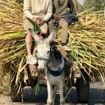 624835745_18566448946003912_1111944762320112919_n.