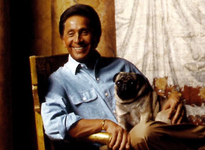 SaveClip.App_524817732_1209605917847375_1788869271611637253_n