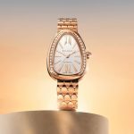 SaveClip.App_610631347_18545285218059055_1119815647086277561_n