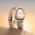 SaveClip.App_610708113_18545285215059055_8807924386460578429_n