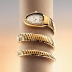 SaveClip.App_611682701_18545285173059055_1368262213321604005_n