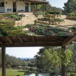 SaveClip.App_619335005_1491511732981886_7455717075908684692_n (1)