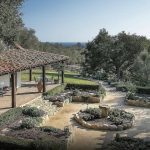 SaveClip.App_620069012_1491511756315217_8960654182954111884_n