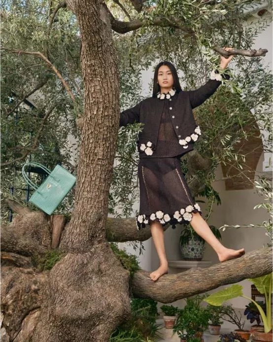 SaveClip.App_620238145_18558685906040705_5076420444927021515_n